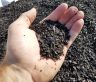 Oregon Biochar Solutions and Oka bring the first-ever insured biochar credits to the voluntary carbon market.