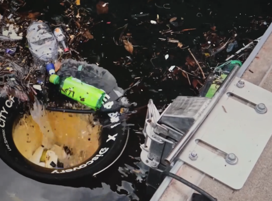 Seabin Data Collection: The company's ability to collect data has moved it beyond simply pollution cleanup.