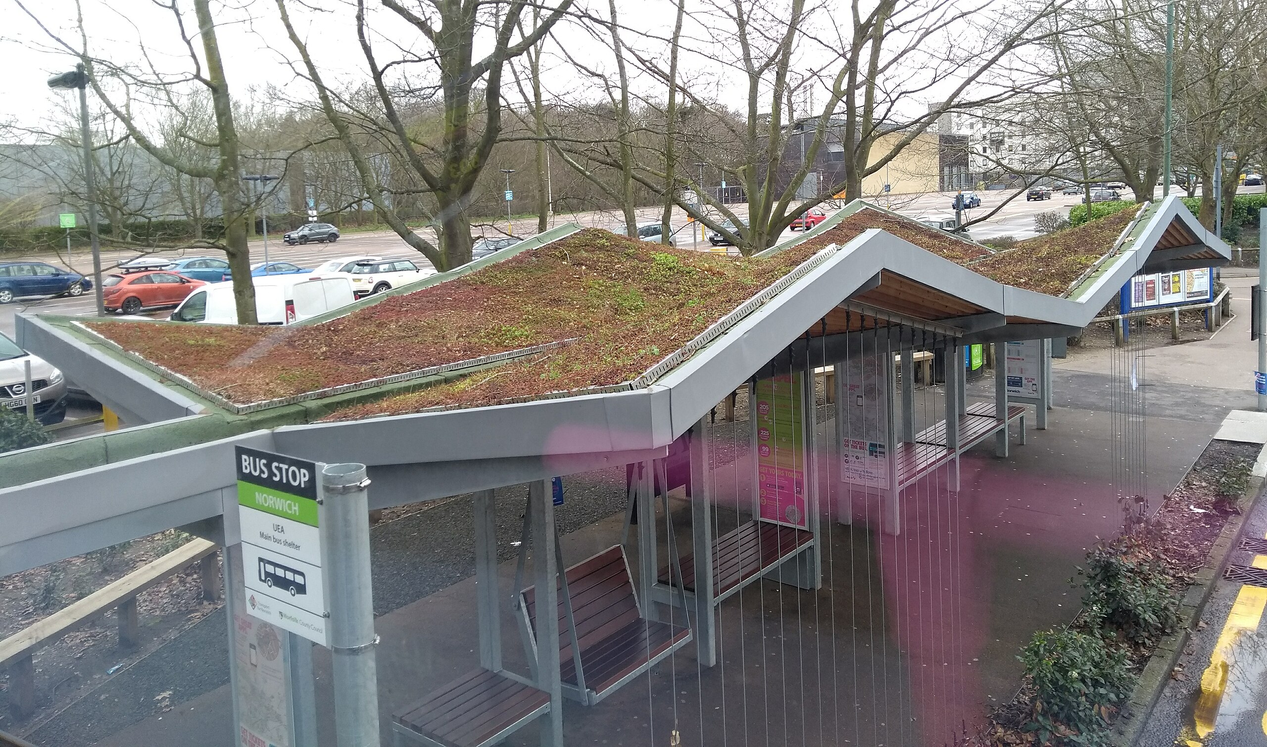 Green roof bus shelter installed at the University of East Anglia.