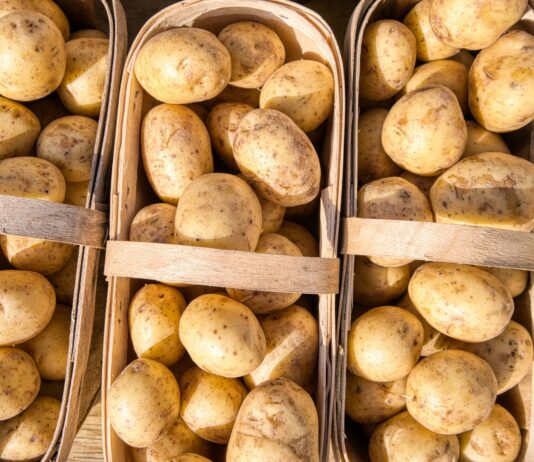 Growing Climate Resilient Potatoes in PEI