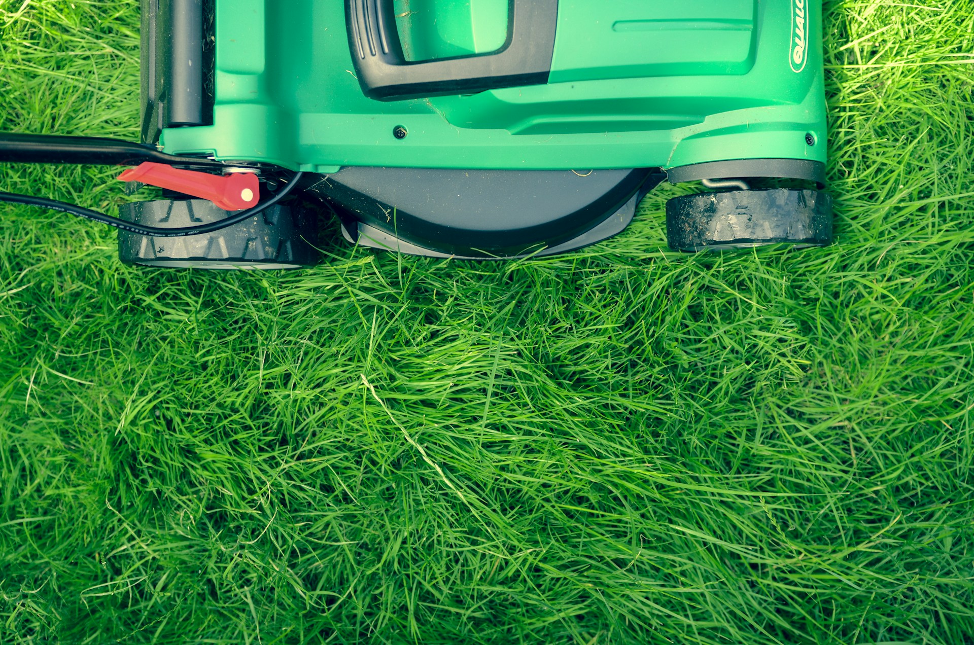 What Separates a Standard Lawn From an Eco-Friendly One? 