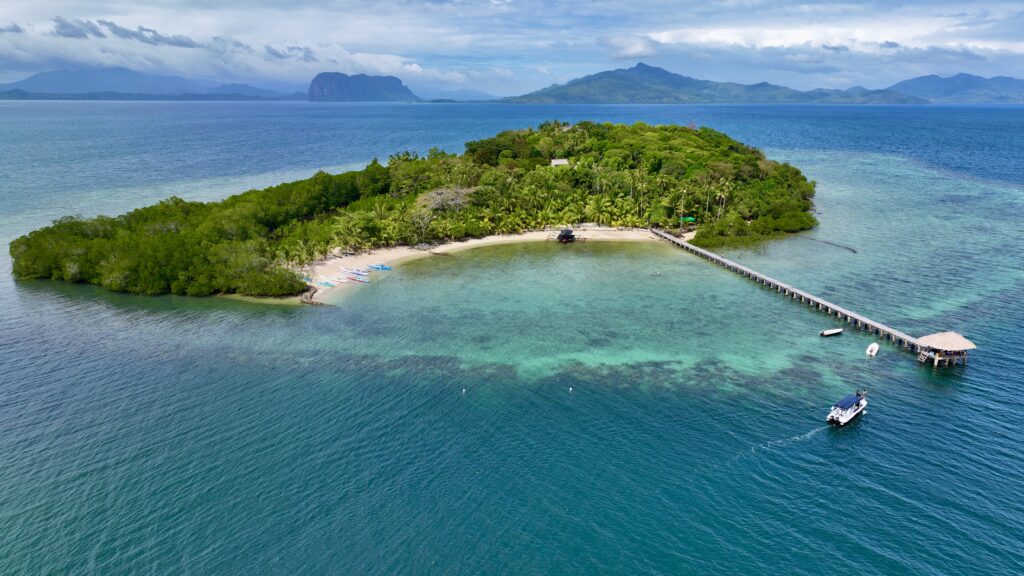 Coral reef with transplanted corals on concrete structures in clear blue water near a tropical island