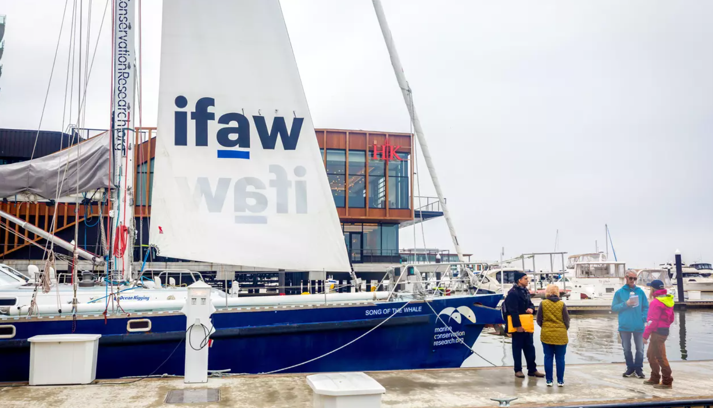 Song of the Whale Research Vessel Proved Whales Don’t Need to Die for Science