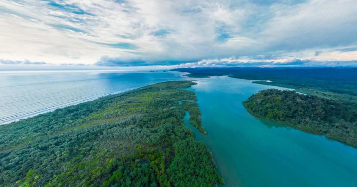 Colombia's May 2026 expansion of the Acandí, Playón and Playona Wildlife Sanctuary by nearly 63,000 hectares extended formal protection to the coral reefs of the Capurganá and Cabo Tiburón Hope Spot for the first time.