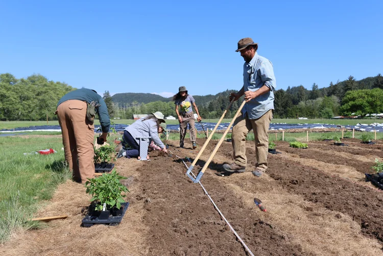 The Center for Rural Livelihoods in Oregon combines agroforestry, forest restoration, and cooperative economics to strengthen rural communities and promote sustainable land management.